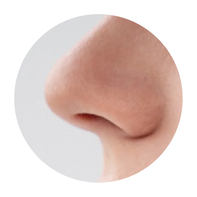 Dermal Fillers for the Nose, Chin and Face