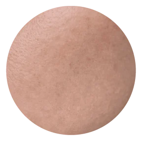 Melanin Reset Program